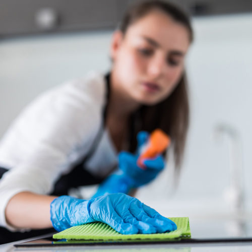 House Cleaning Services